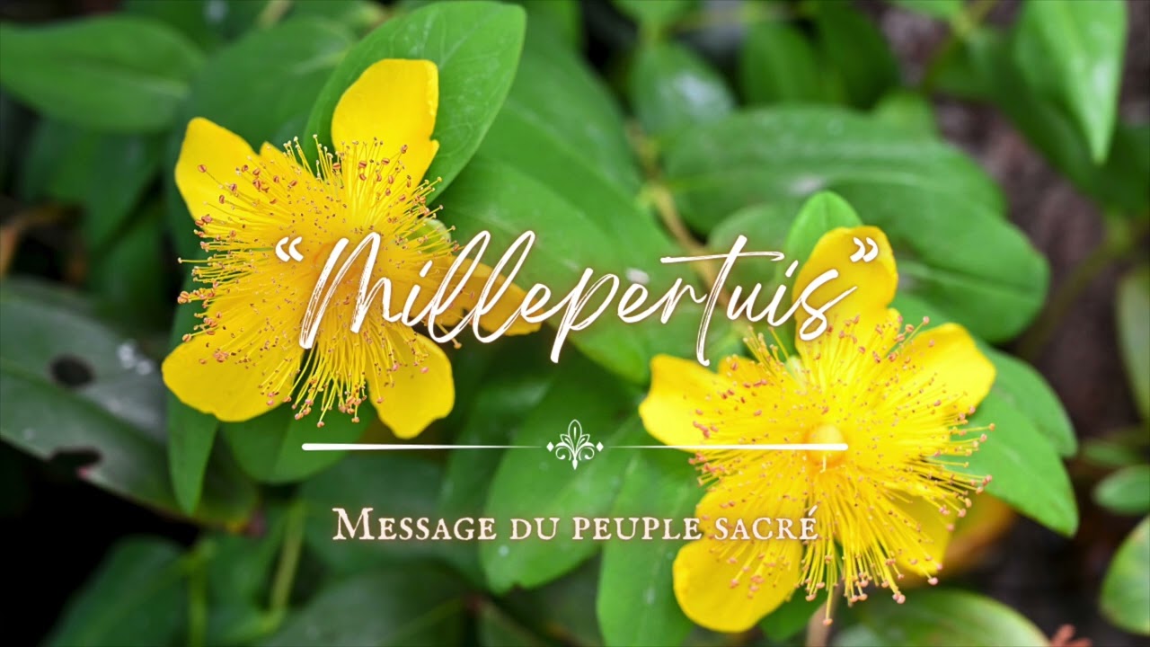 Message du peuple sacré - Millepertuis