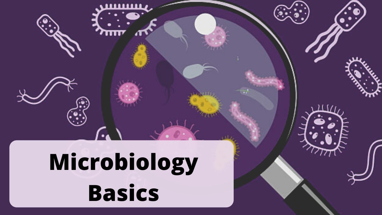 Microbiology II Periodontal Pathogens II Dr. Sneha II Perio Hub