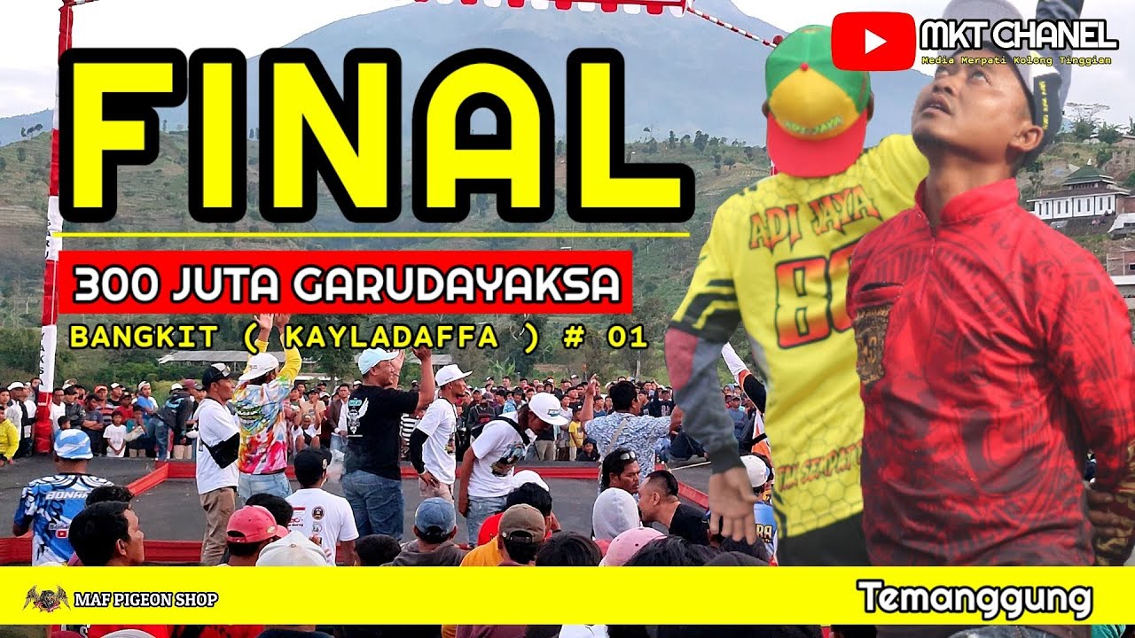 🔴ФИНАЛЬНЫЕ 300 МИЛЛИОНОВ ГАРУДАЯКСА ‼️2200 УЧАСТНИКИ ЮБИЛЕЯ P3MKBI СНОВА БИЮТ РЕКОРД | ТЕМАНГУНГ