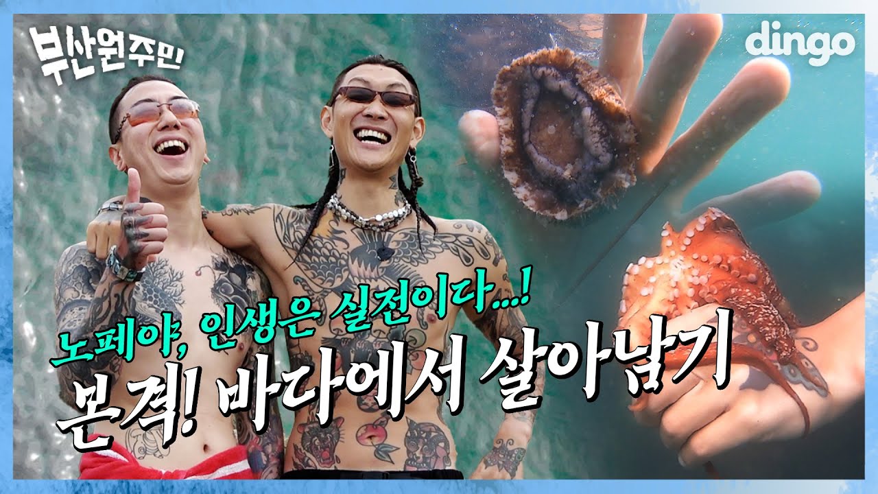 바다, 무한으로 즐겨보세요🐙 l [🌊부산원주민] EP 03. 노스페이스갓