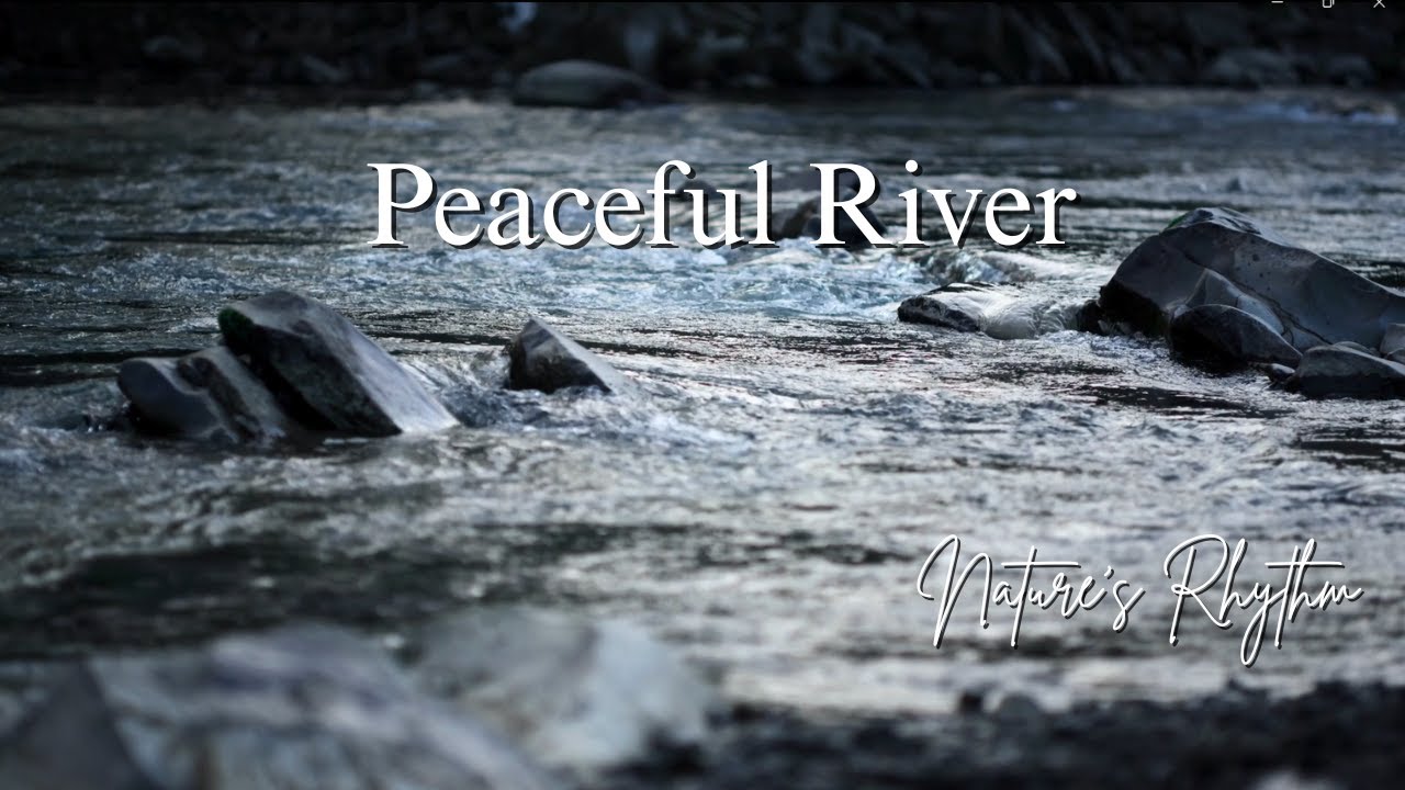 Gentle River Flow 🌊 Calm Water Sounds for Deep Sleep, Study & Focus (3 Hours)