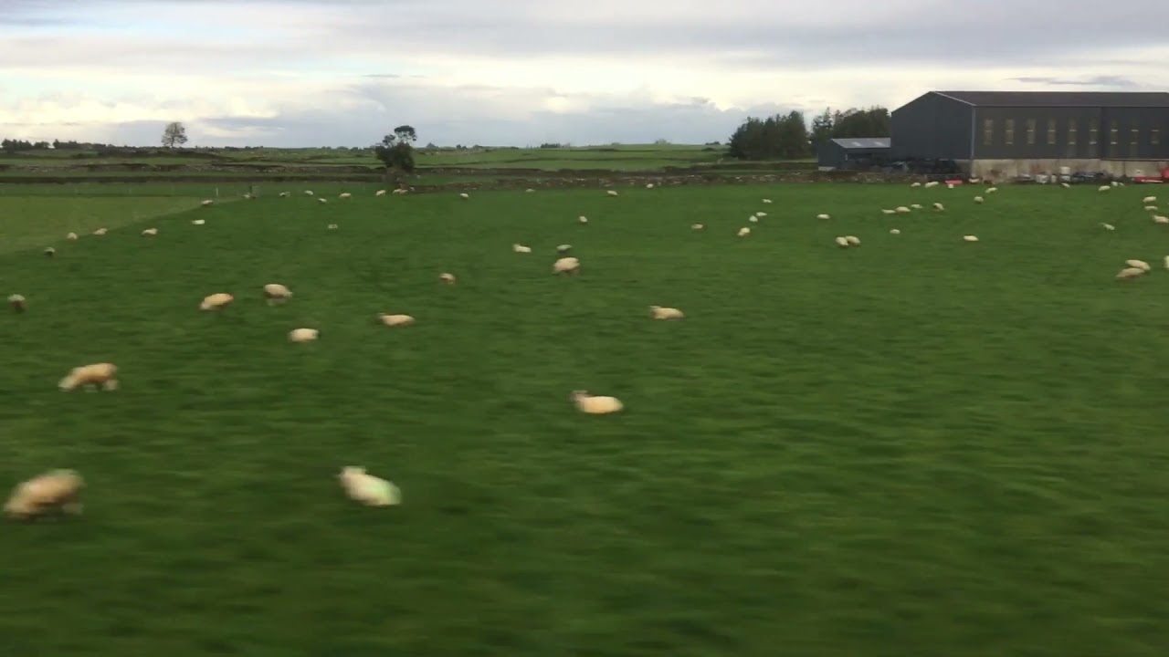 Scenery between Ballinasloe and Woodlawn onboard the train to Galway