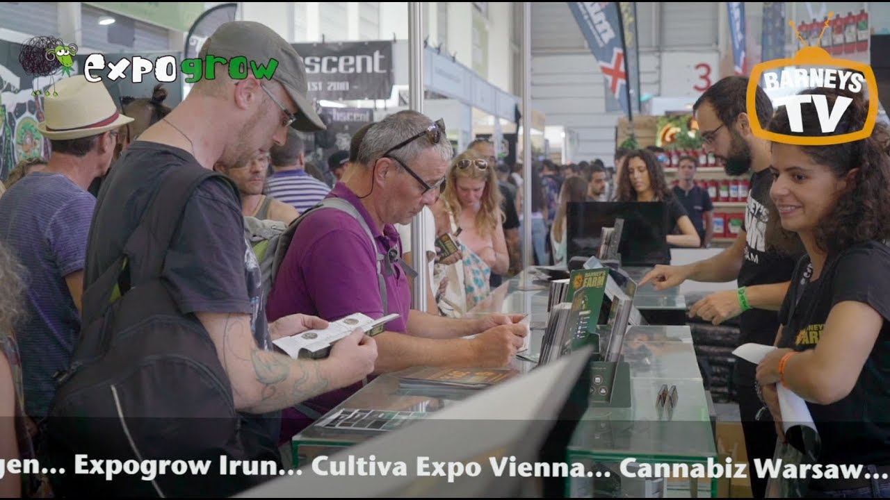 Barneys Farm @ EXPOGROW 2018 IRUN