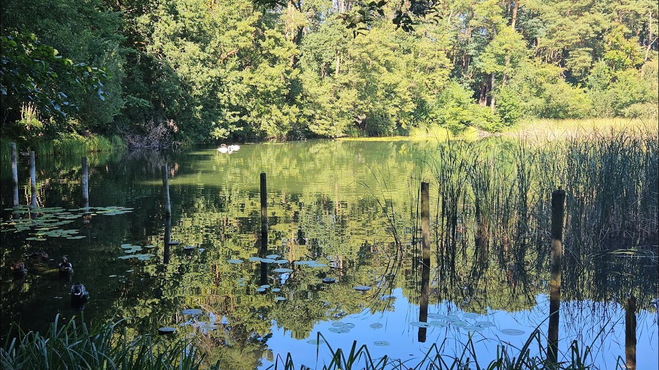 wandern in Berlin und  Brandenburg, Teil32,der Wukensee bei Biesenthal