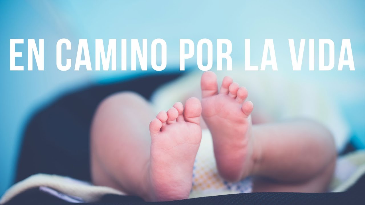 EN CAMINO POR LA VIDA - Alex Zambrano & Alejandra Calder&oacute;n | CANCI&Oacute;N PROVIDA