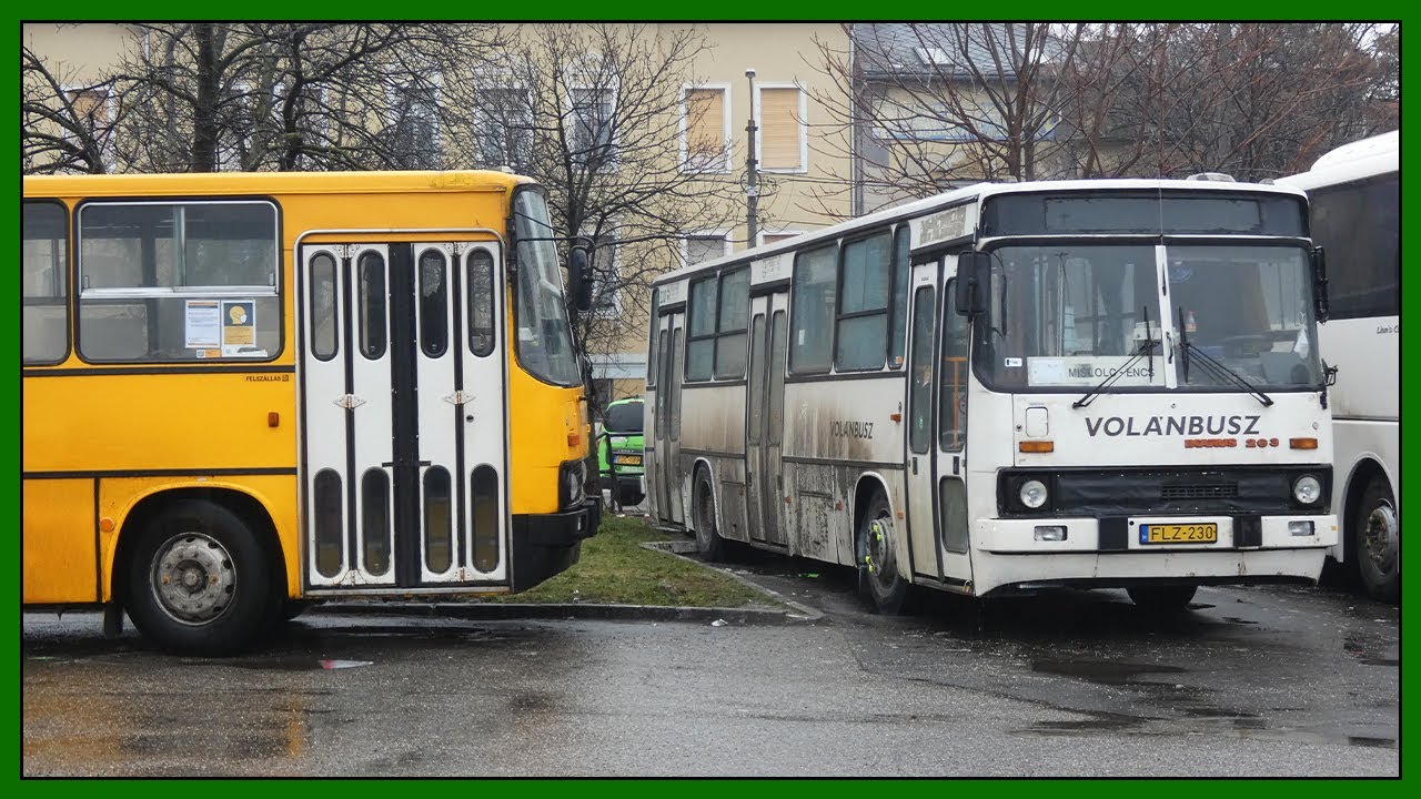 Ikarus buszok Miskolcon - 2021 Február (2. rész)
