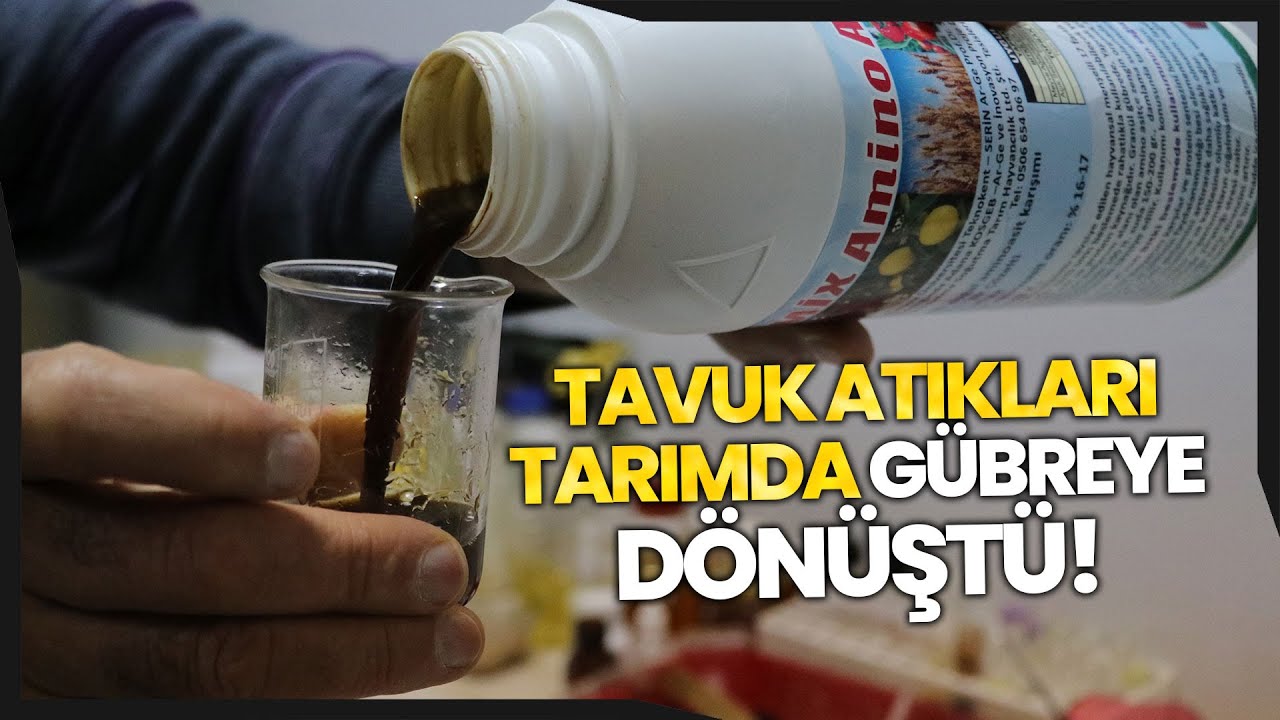 Kanatlı Hayvan Atıklarından Üretilen Sıvı Amino Asit, Tarımda Gübre Olarak Kullanılacak