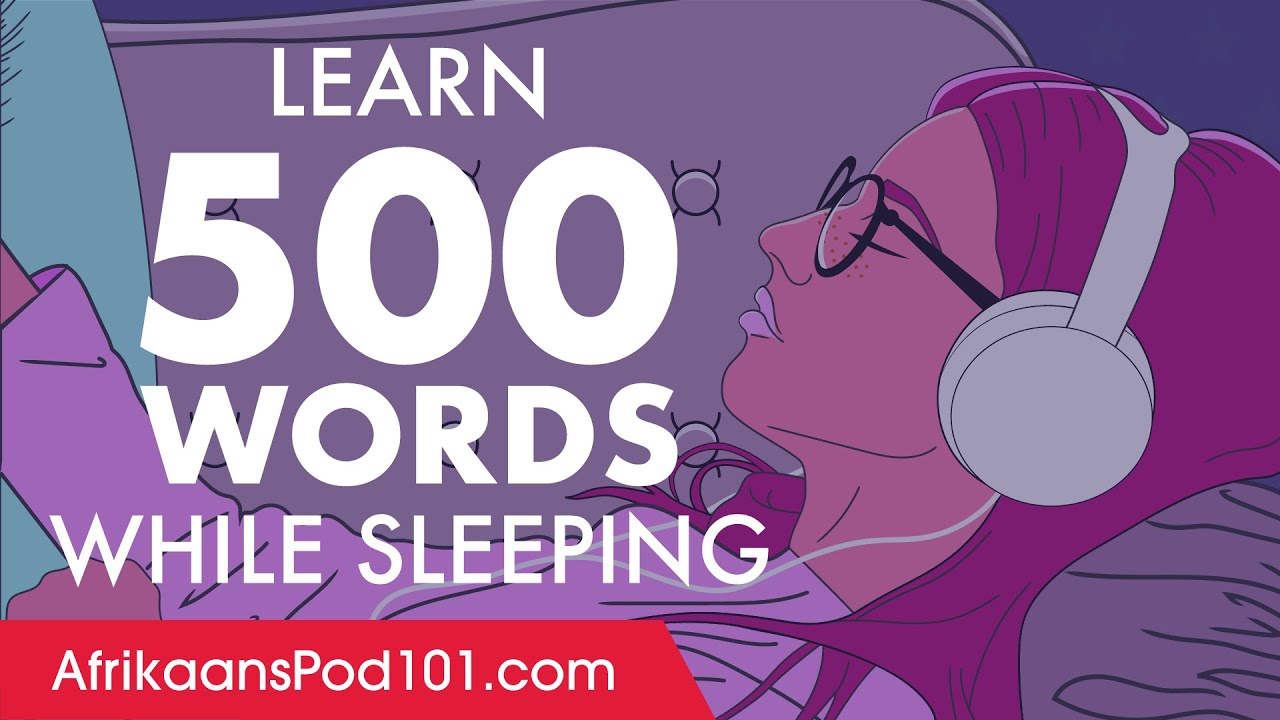 Afrikaans Conversation: Learn while you Sleep with 500 words