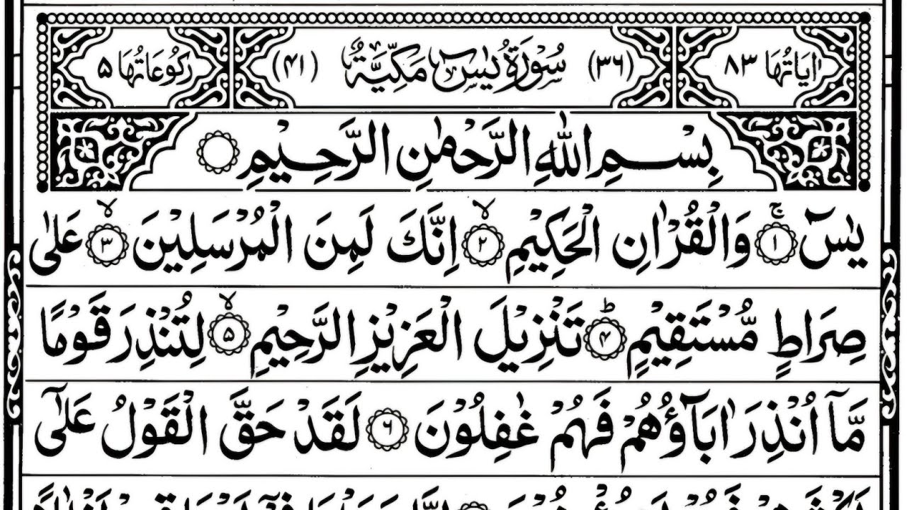 Surah Yaseen Surah Rahman | Best Quran Recitation | Surah Yasin full | Yaseen Shareef Full Tilawat