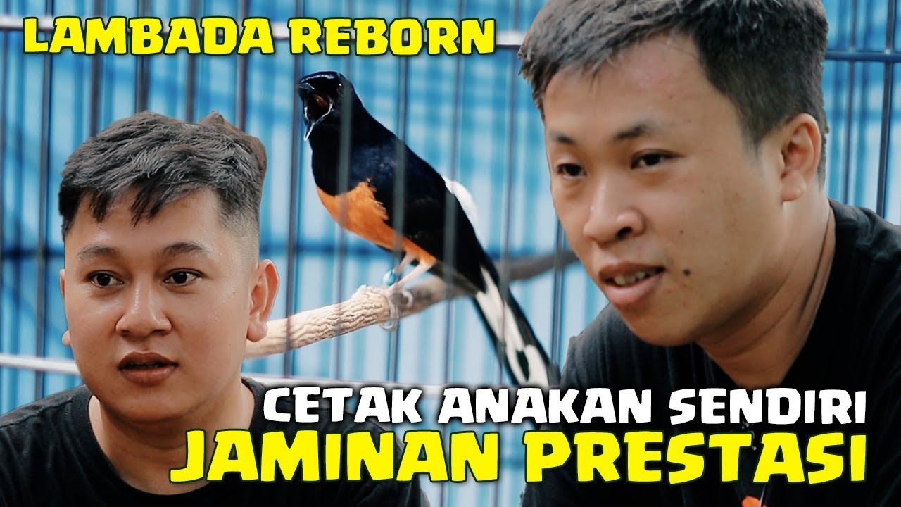 Bukti Nyata Cetakan Sendiri Dari Anakan MB Lambada Reborn Langsung Prestasi di Kopdar SKN #8