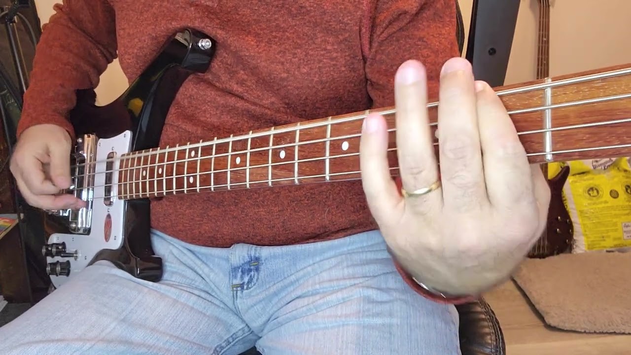 Bryan Adams - Run To You Bass Cover
