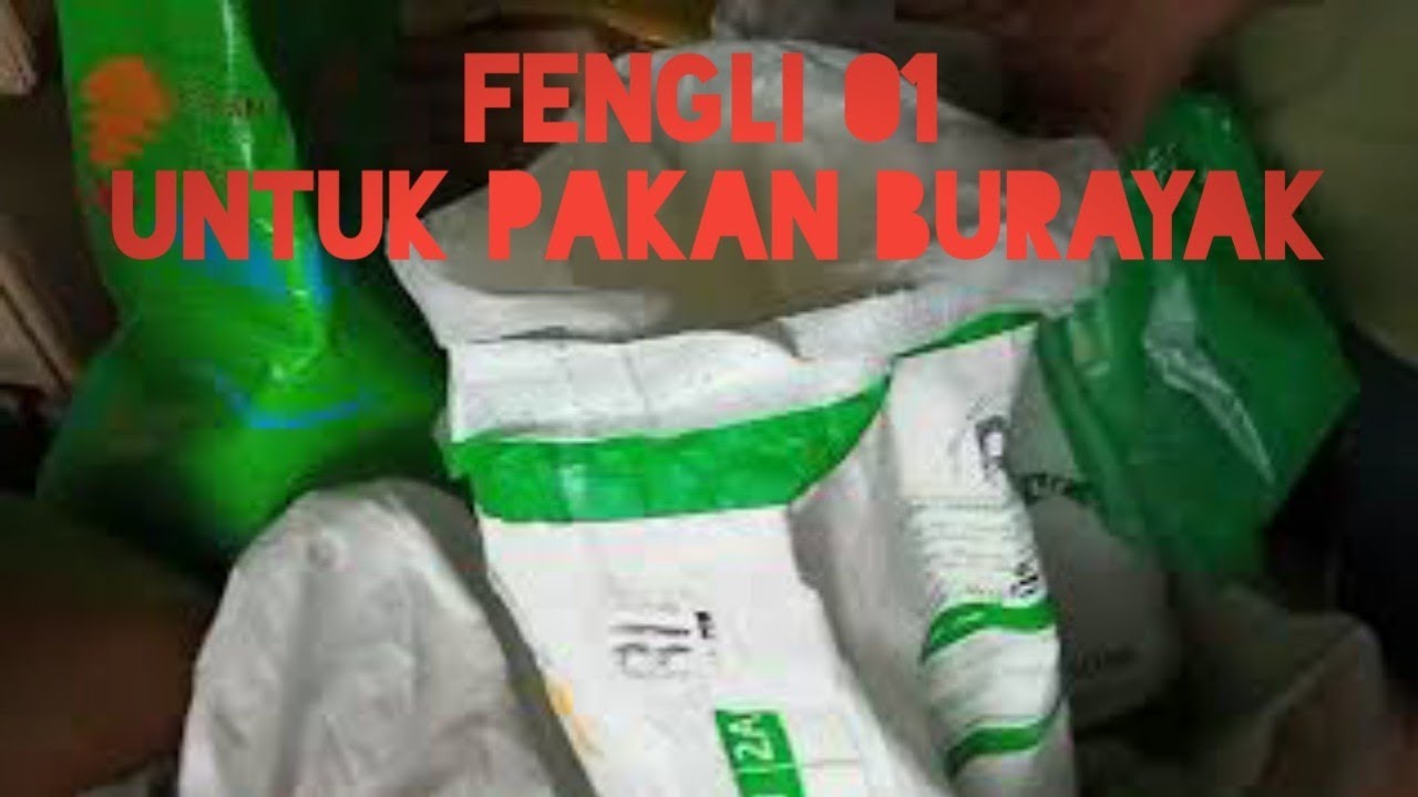 Like a sieve for ornamental fish sieves and buy fengli pellets for fish fry