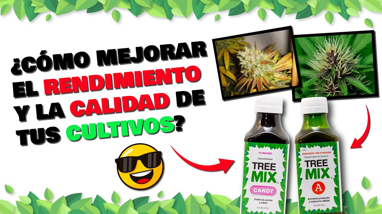 &iexcl;Como mejorar rendimiento y calidad de tus cultivos!