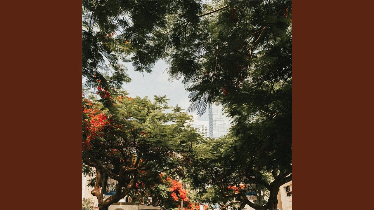 wayfarer