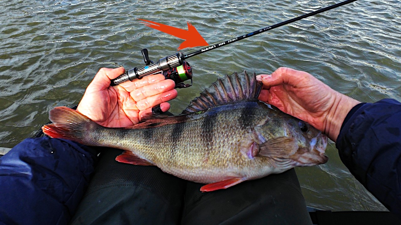 Big fish eats tiny bait! Lure fishing rod Mifine Nano Jig Zero tested