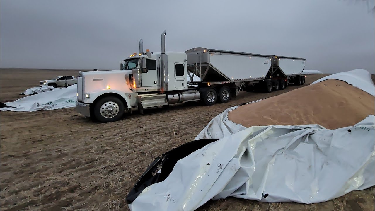 A split grain bag 🤦 fun fun 😂