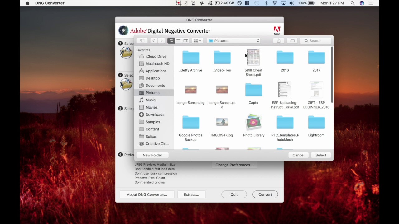 How To Use New Camera RAW files in Older Versions of Photoshop and Lightroom