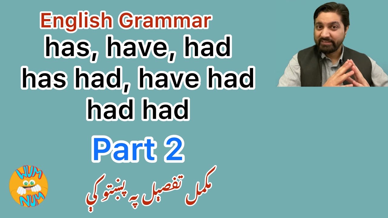 English Grammar, Has had, have had and had had. Part 2