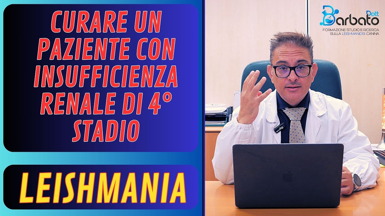 Curare un paziente con insufficienza renale di 4° Stadio // Leishmania
