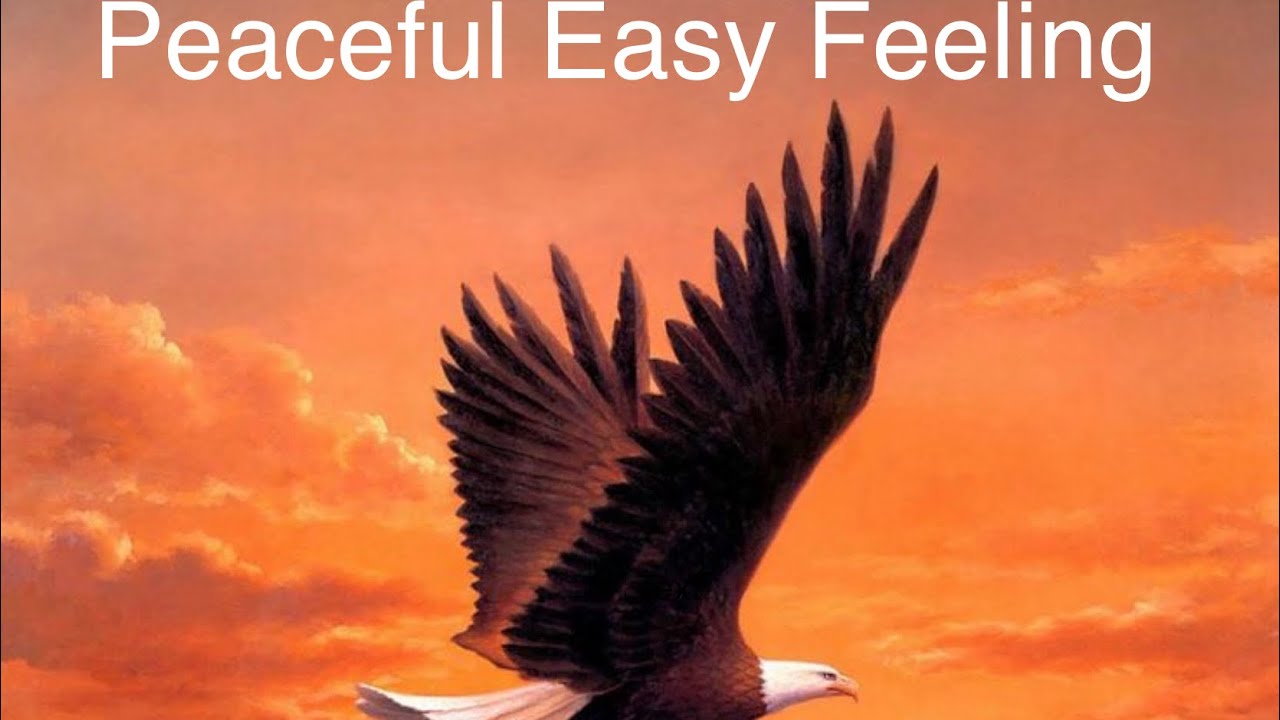 Peaceful Easy Feeling – The Eagles (Acoustic Cover) | Gary Beggs Music Video Must See