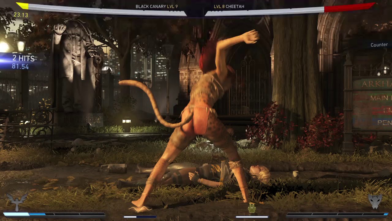 Injustice 2 Black Canary vs Cheetah