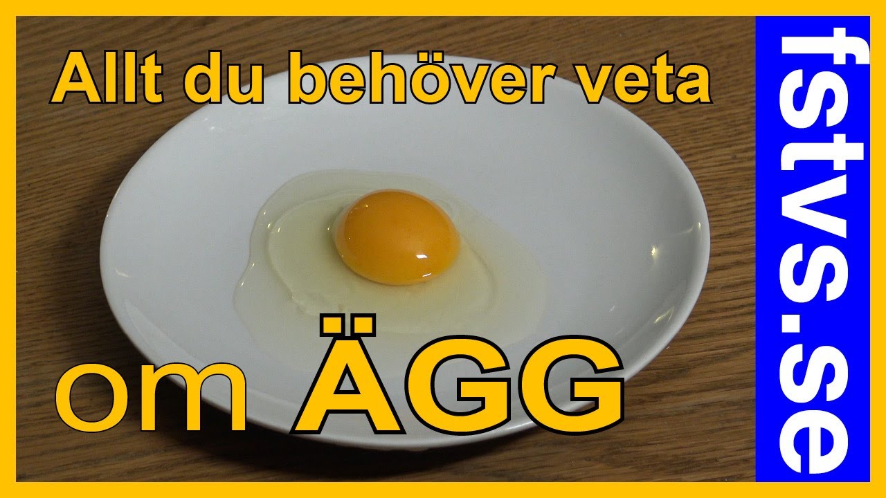 Ägg är mer fantastiska än du tror