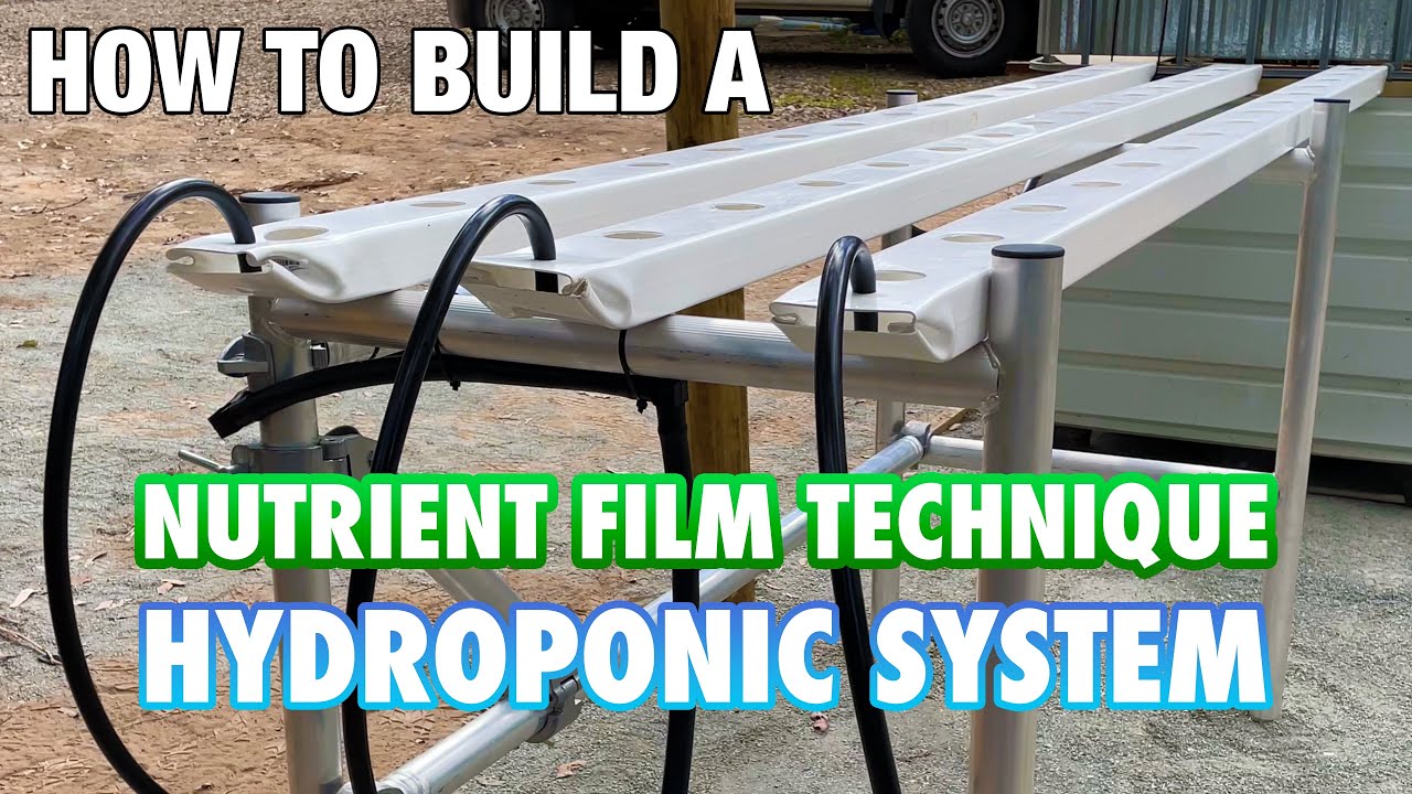 How to Build & Set Up a NFT Hydroponic System