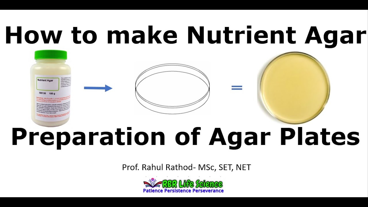 Preparation of nutrient agar plates l How to make agar plate