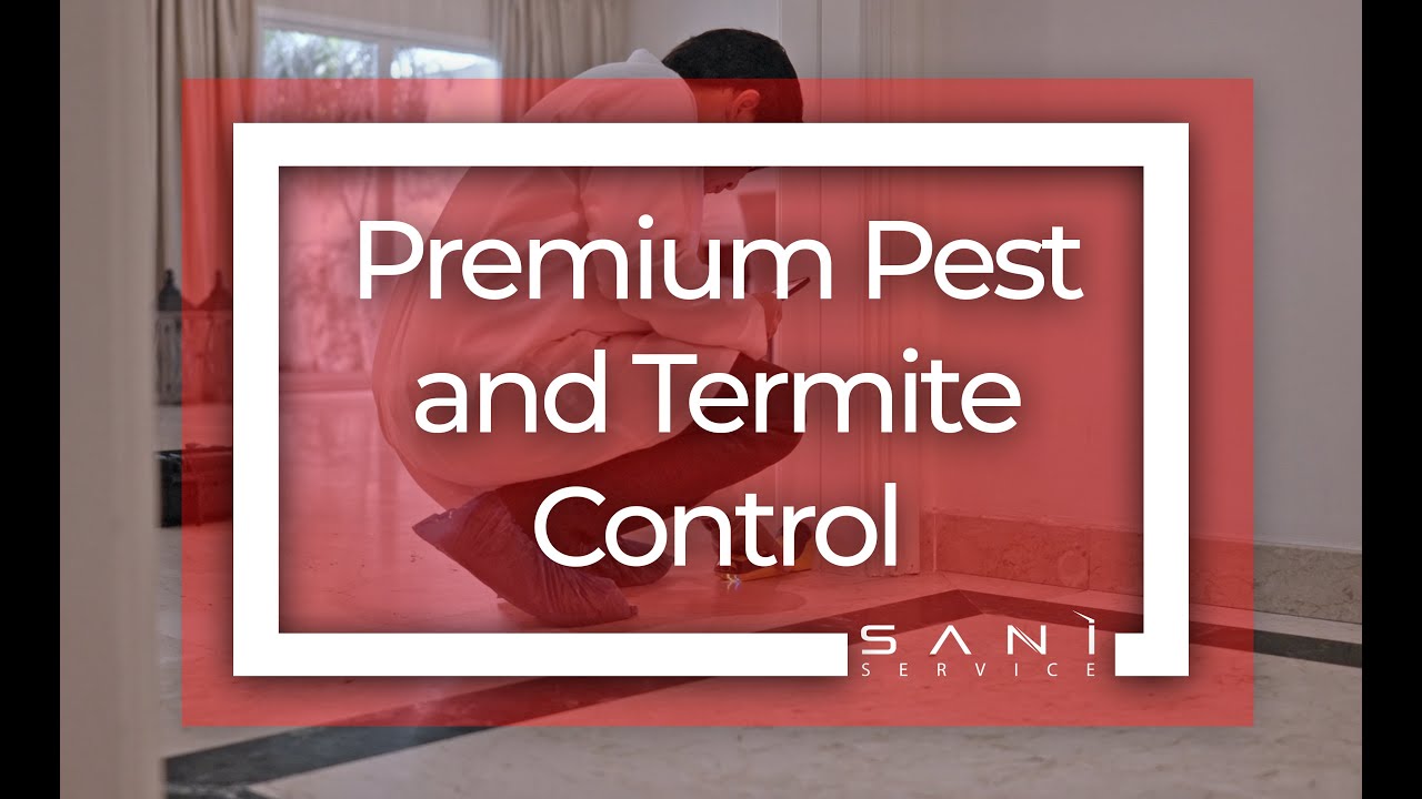 Pest and Termite Control Precision Investigation  in Finding and Mitigating the Infestation Source
