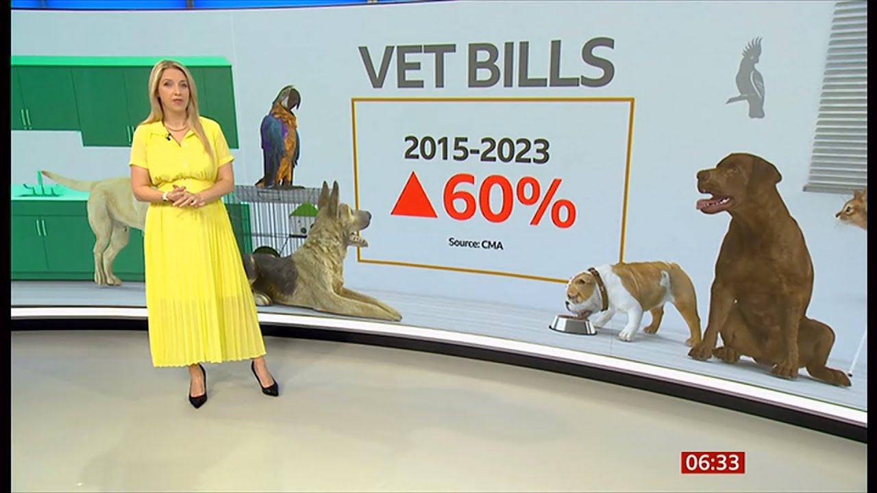 Vets bills in the UK increasing - breaking unfit for purpose, 21 measures & viewers stories (UK)
