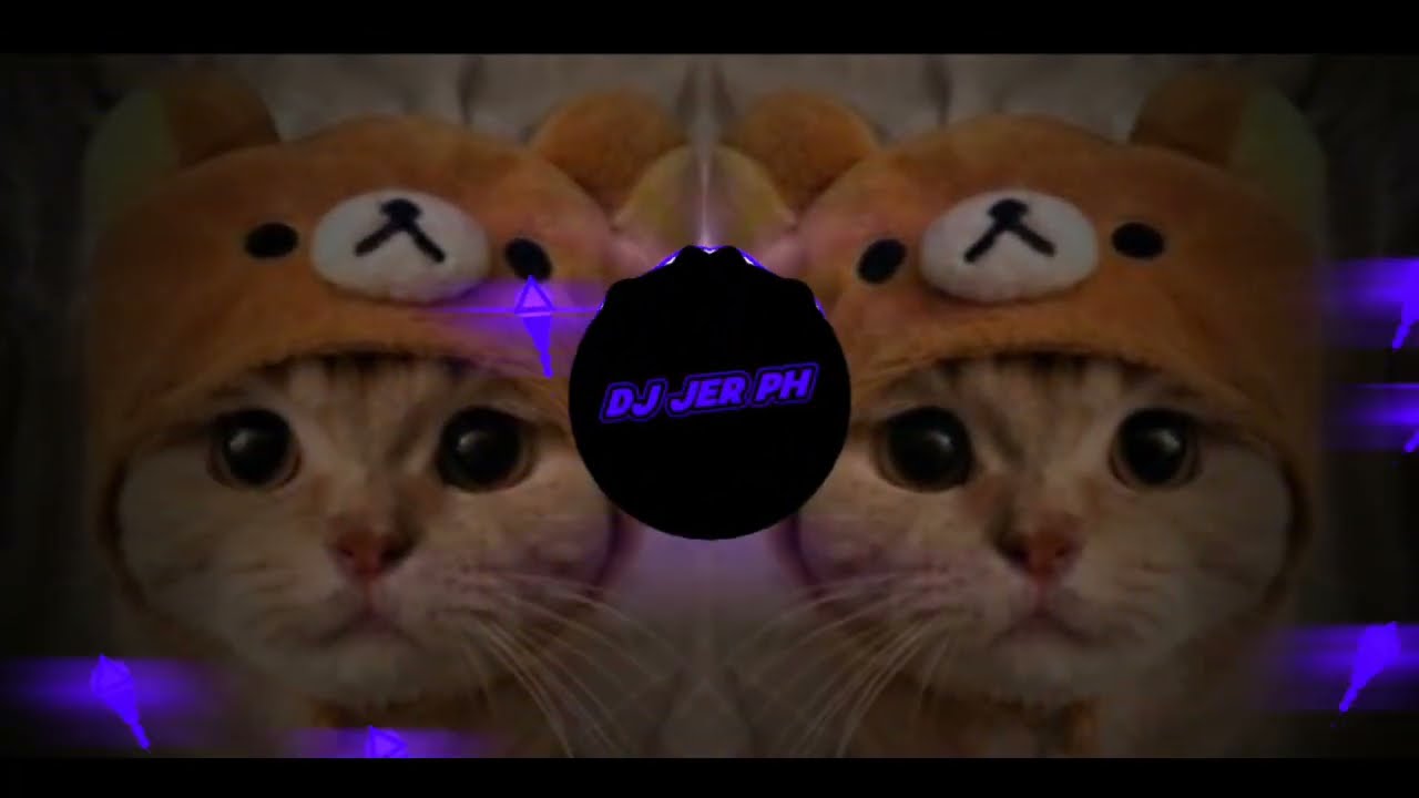 DJ SIGMA BOYS X DIGI BAM MASHUP - NEW SLOWED REMIX VIRAL - DJ JER PH