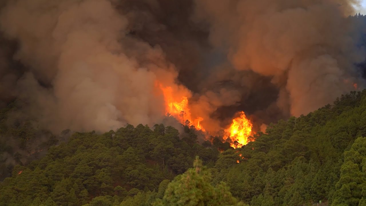 El incendio de Tenerife avanza sin control tras arrasar 1.800 hectáreas