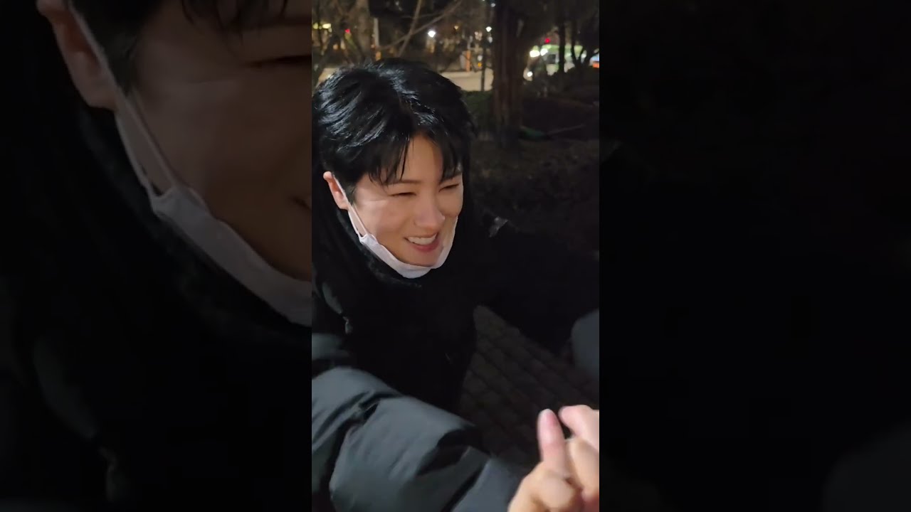 마이진 