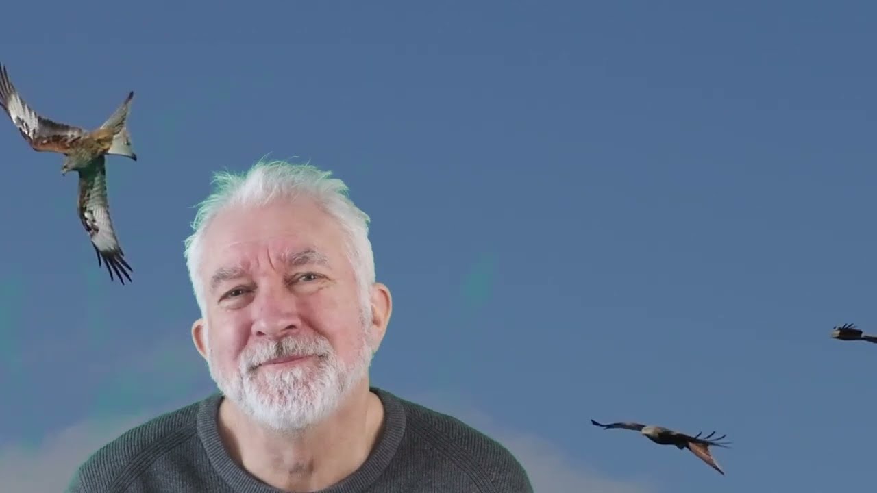 Dream  (All I Have To Do)