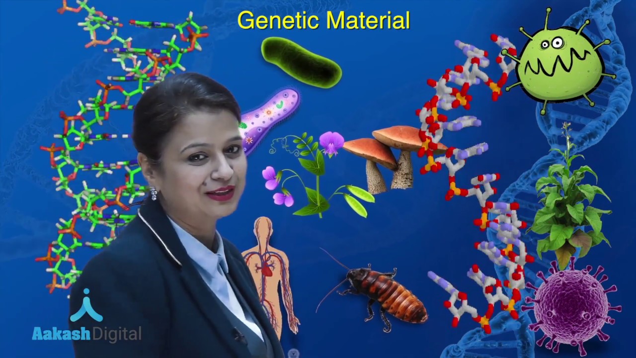 NEET Biology | Molecular basis of Inheritance - Introduction, DNA Structure