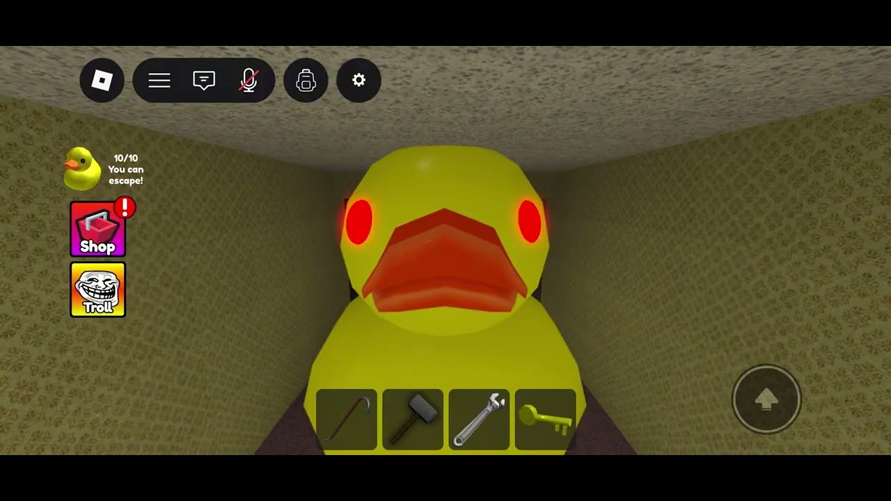 Playing both tutorial ￼