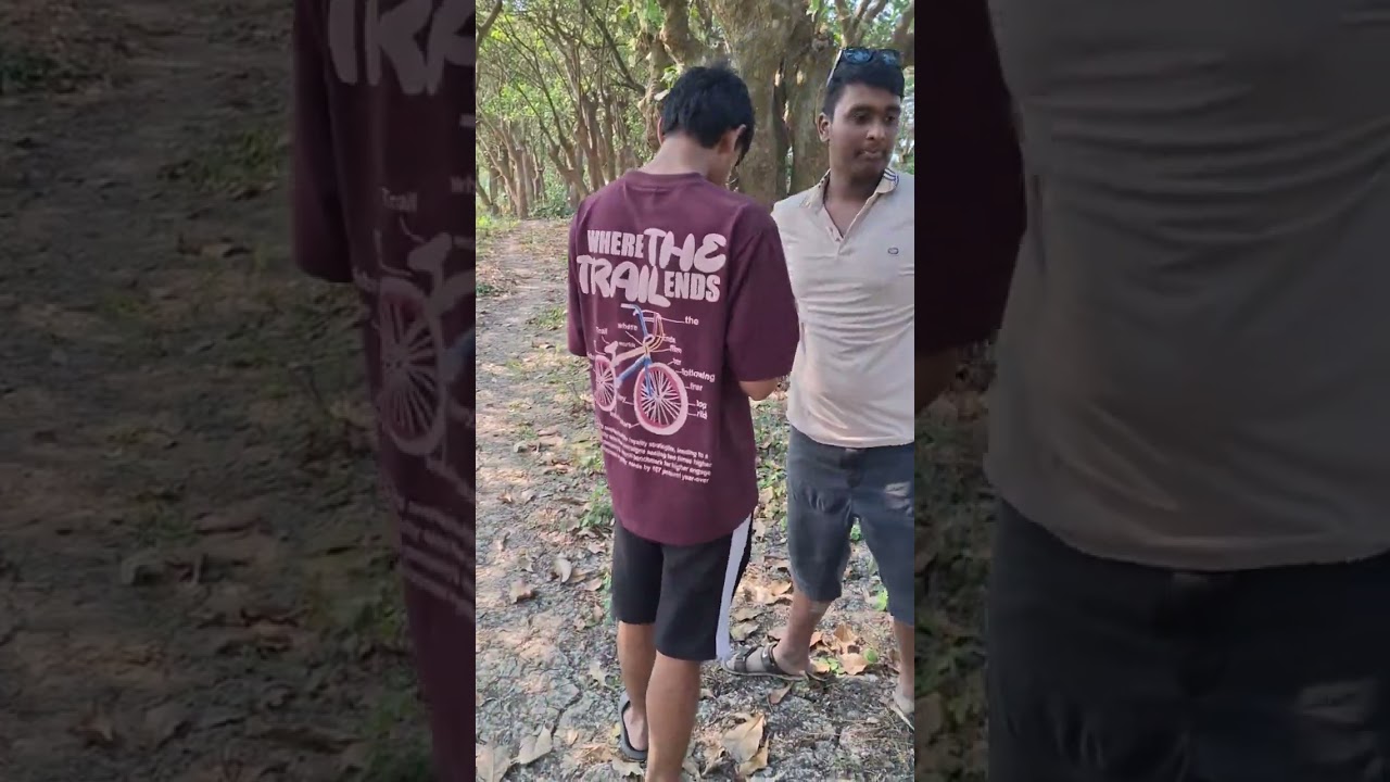 পিকনিক,, 