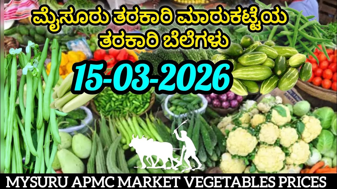 ಇಂದಿನ ||15/03/2026|| ಮೈಸೂರು ತರಕಾರಿ ಮಾರುಕಟ್ಟೆಯ ತರಕಾರಿ ದರ (ಪ್ರತಿ ಕೆಜಿಯ ದರ). #apmc #mysore #vegetables