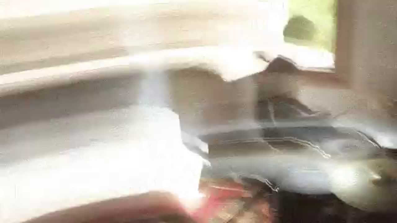 Trementina - Fall Into Your Bed (Official Video)