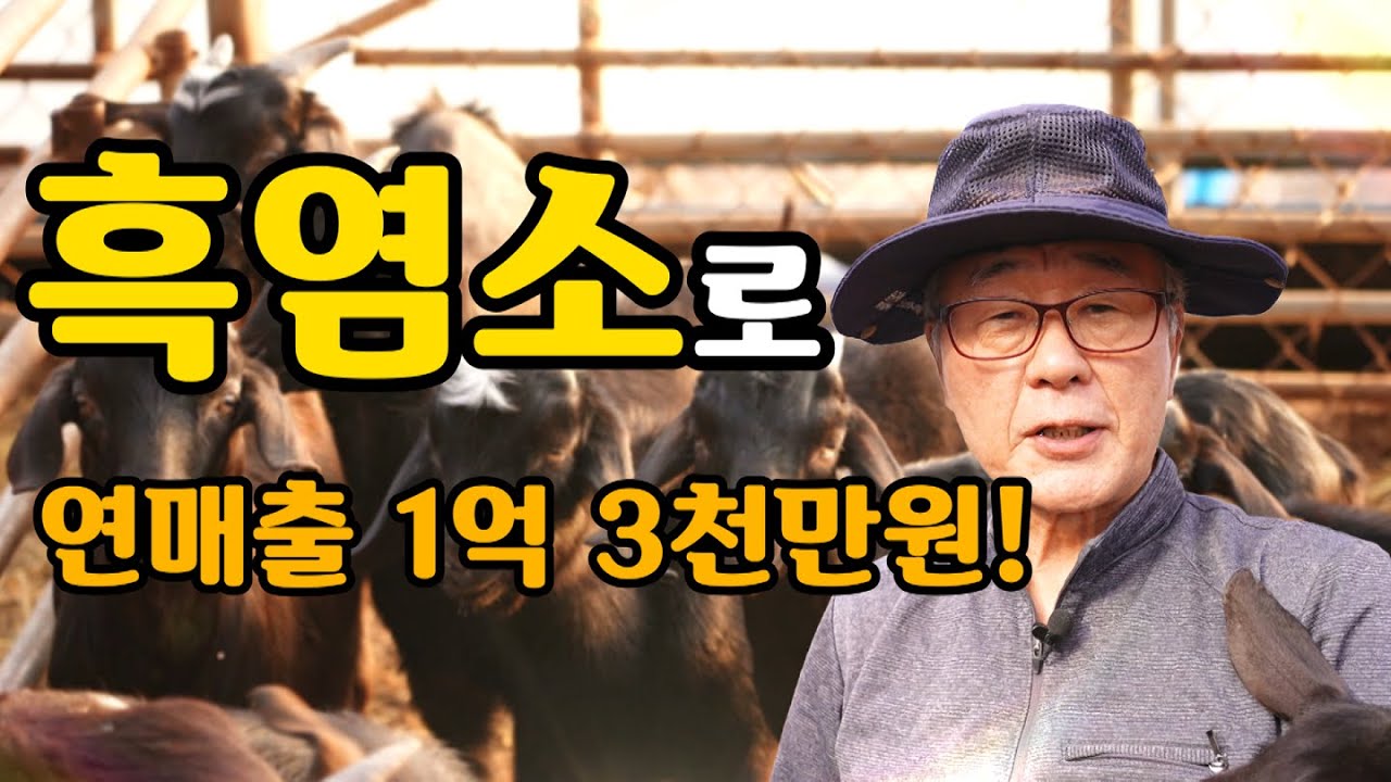 [역전의부자농부 328회] 흑염소로 연 매출 1억 3천만원! 전북 부안 지용국 부자농부