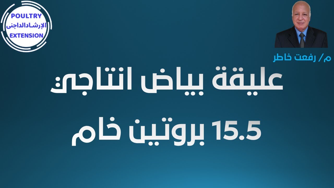 علف دجاج بياض 15.5 % بروتين خام