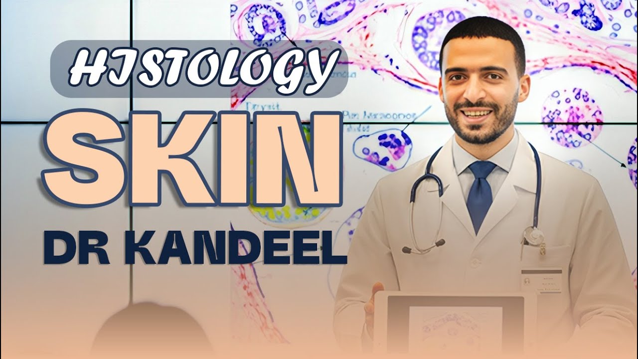 شرح  skin طب بشري | دكتور قنديل