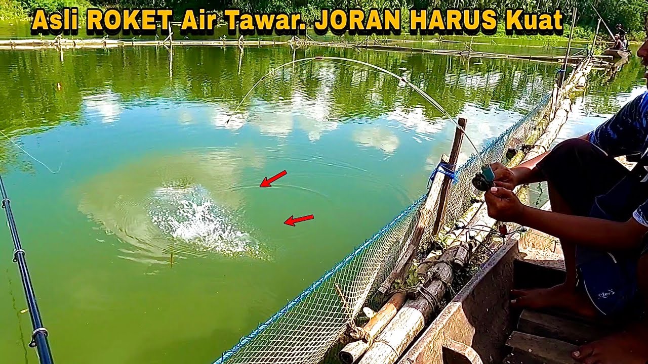 Heboh Semua pemancing panen strike mancing ikan bandeng dan nila babon