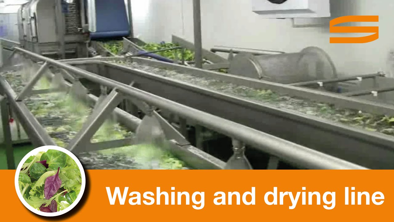 Lettuce washing and drying line - Sormac