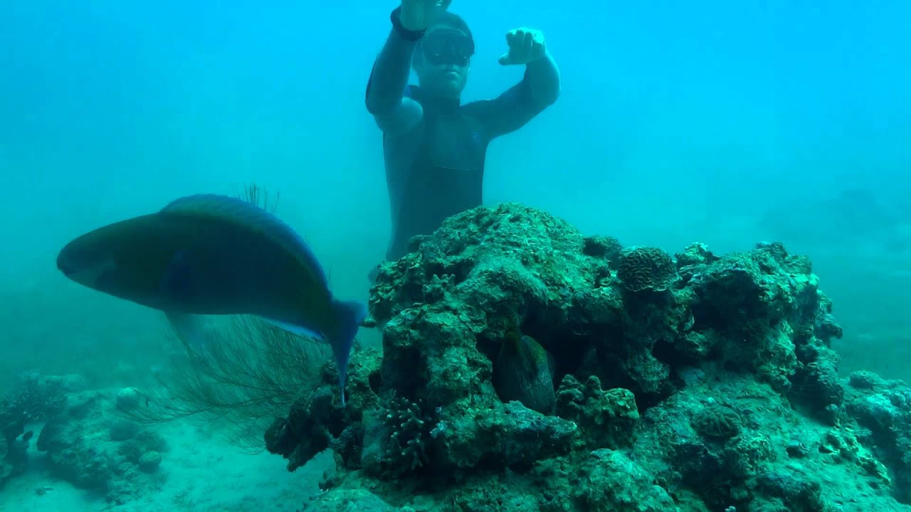 No Bubbles Allowed 2- The Hunt (Freediving epic movie, Eilat)