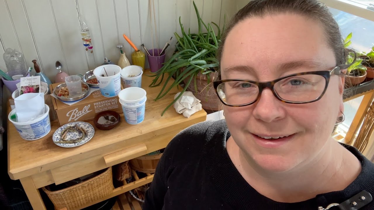 Cleaning Is Quick, Tidying Is Forever : The Bittersweet Gardens