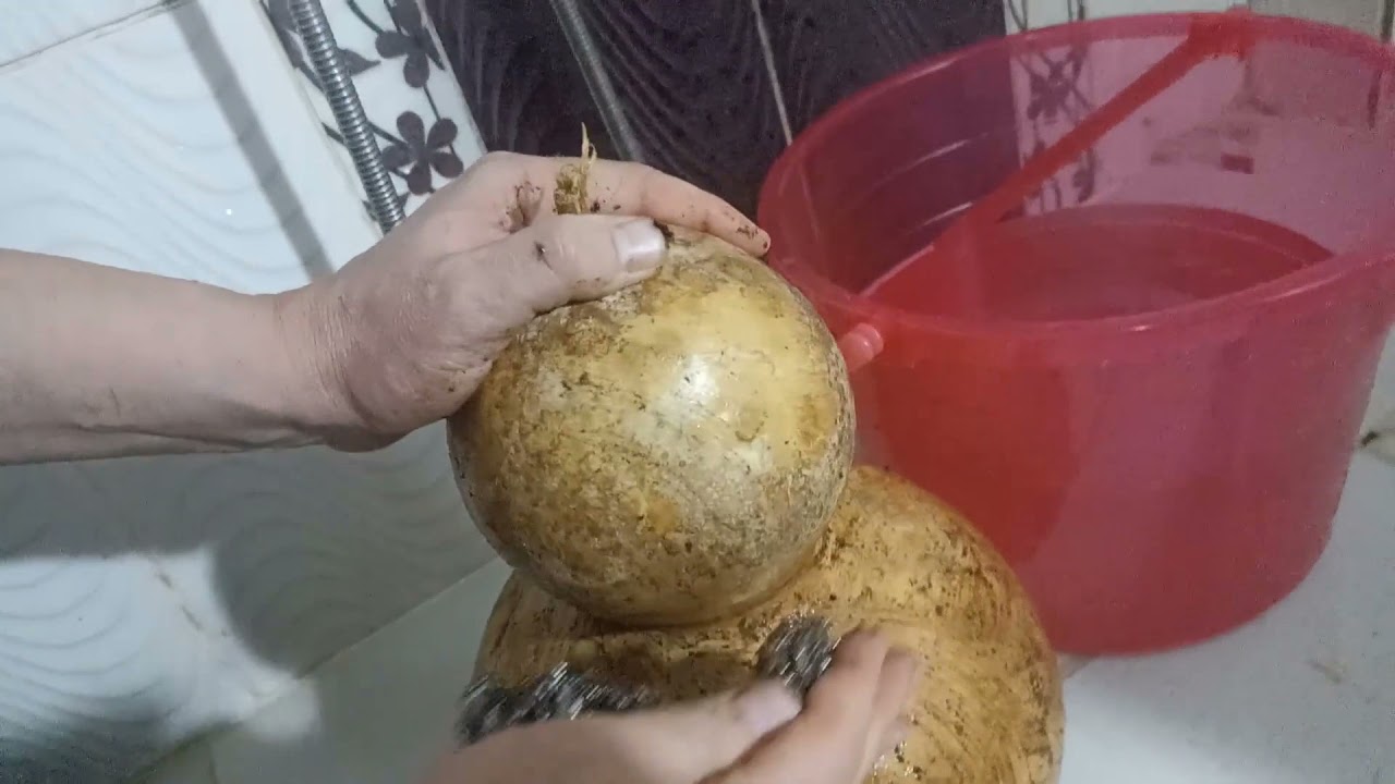 SU KABAĞI DIŞ YÜZEY TEMİZLEME #youtube #keşfet #gourd #cleaning #kabak #elsanatları