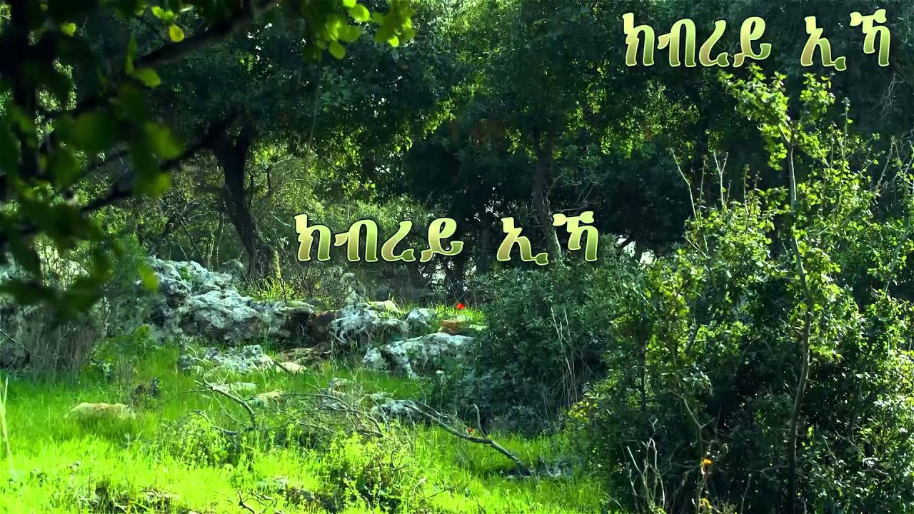 Tigrigna Mezmur Araya Habte  (ክብረይ ኢኻ)