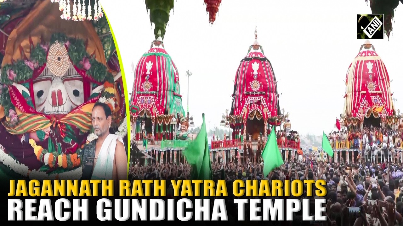 Jagannath Rath Yatra chariots reach Gundicha Temple ahead of sacred ritual