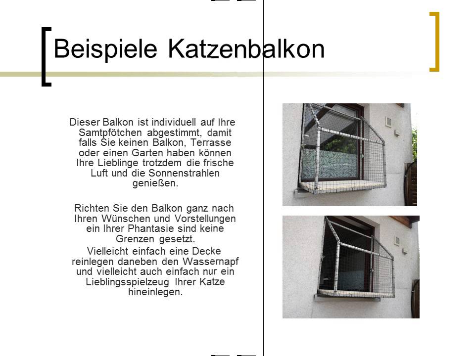 Katzennetze NRW Ltd